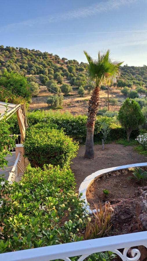 Vila Βlueview Ermioni Exteriér fotografie