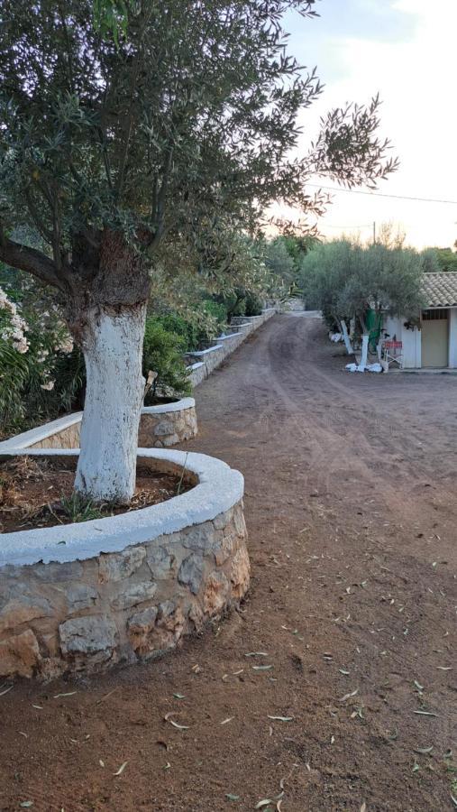 Vila Βlueview Ermioni Exteriér fotografie
